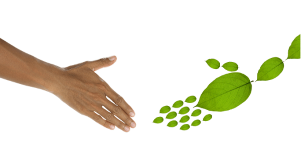 The Future of Effluent Treatment: Non-Chemical Electrocoagulation by Pristine Water