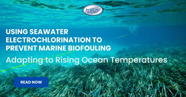 Seawater Electrochlorination to Prevent Marine Biofouling- Adapting to Rising Ocean Temperatures